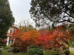 -棒棰岛宾馆景区