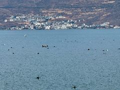 -大理洱海