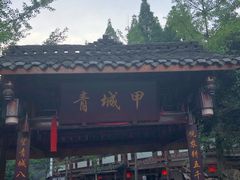 -青城甲(青城山店)