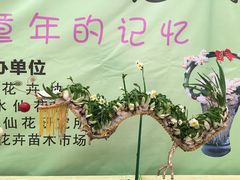 -龙大花卉苗木市场