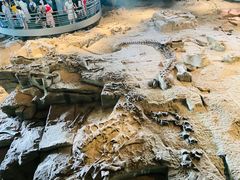 -自贡恐龙博物馆