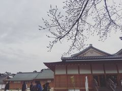 -名古屋城