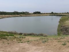 -黄沙古渡原生态旅游区