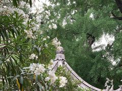 -惠山古镇·寄畅园