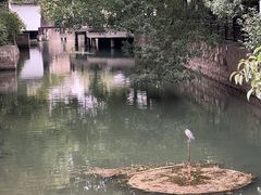 -乌镇东栅景区