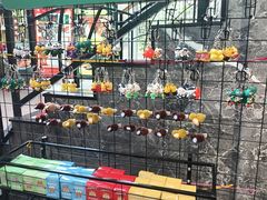 -椿记烧鹅(叠彩店)