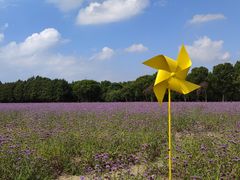 -山明水秀大饭店