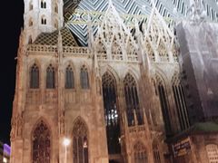 -斯蒂芬主教座堂(Stephansdom)