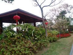 -仙岳公园