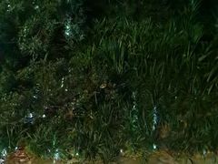 -成都市活水公园
