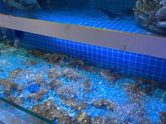 -花西亭·海鲜自助餐厅(瑞城名人酒店)