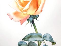 -八哥美术·成人美术画室(总校区)
