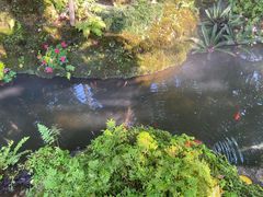 -Chom Cafe and Restaurant