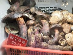 -太婆天府山珍酒楼(亚运村店)