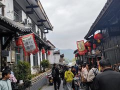 -后柳水乡