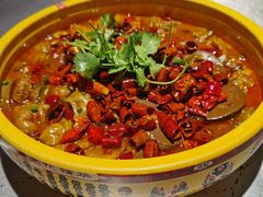 肥肠毛血旺-红辣椒·川菜·火锅(张杨路店)