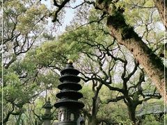 -法雨寺餐厅