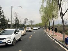 -洨河生态公园