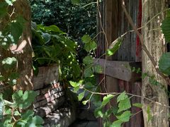 -斯多格书乡(北京大学畅春园店)