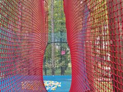 -黄海国家森林公园