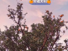 -南北湖风景区