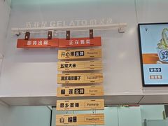 -野人先生现做冰淇淋(西安赛格店)
