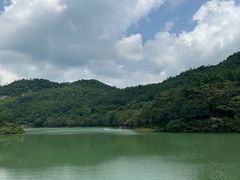 -广州白江湖森林公园