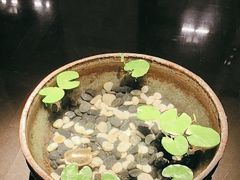 -曲水兰亭(北京四惠店)