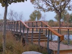 -东郊湿地公园