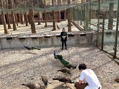 -南京金牛湖风景区