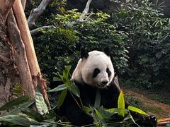 -香港海洋公园