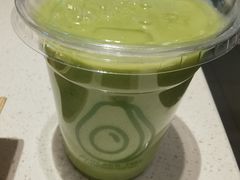 -油梨树 AVOCADO TREE(亮马桥店)