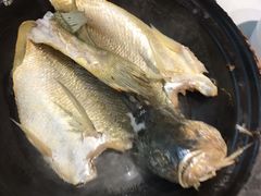 泉水黄花鱼-锦園(伊势丹美食城店)