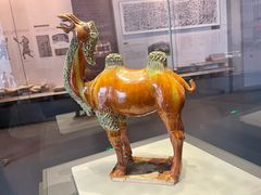 -贵州省博物馆(新馆)
