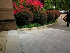 -厦门悦华酒店