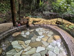 -明月山天沐温泉度假村