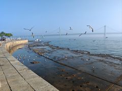 -星海湾跨海大桥