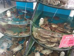 -聚德福海鲜家常菜(刘庄店)