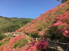 -木兰云雾山