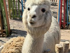 -水上乐园·欢乐世界