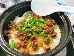 -石岐乳鸽村(桥观坊南四巷店)