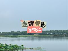 -白洋淀景区