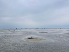 -北海金海湾红树林生态旅游区