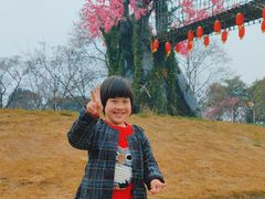 -天适樱花悠乐园
