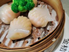 -金桔香港茶餐(宝安大厦店)