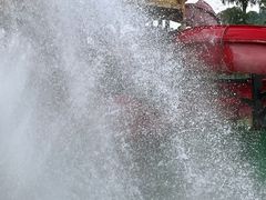 -重庆海昌加勒比海水世界