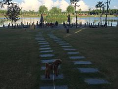 -明珠湖天鹅苑·农家菜馆