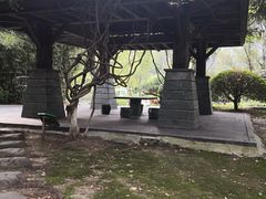 -白塘生态植物园