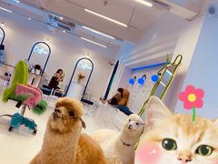 -Blue Concept Cafe&Farm·關於藍