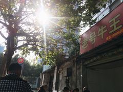 门面-老号牛王庙金宴面店(锦东路253号院店)